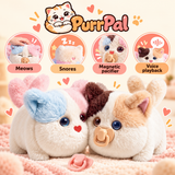 PurrPal plush kitten — overview
