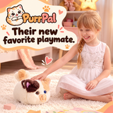PurrPal plush kitten — play