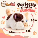 PurrPal plush kitten — size